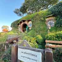 Stepping Into Middle-earth: My Magical Visit to Hobbiton Movie Set