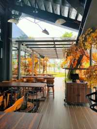 Perfect Blend of Craft Beer, Comfort Food, and Scenic Views