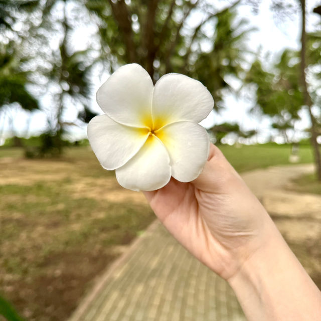 Quiet and Hidden Paradise: Tanjong Jara Resort🏖️