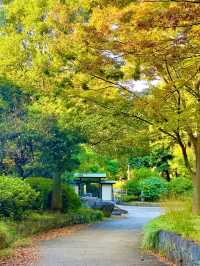 猿江恩賜公園：東京悠閒綠洲的現代樂章