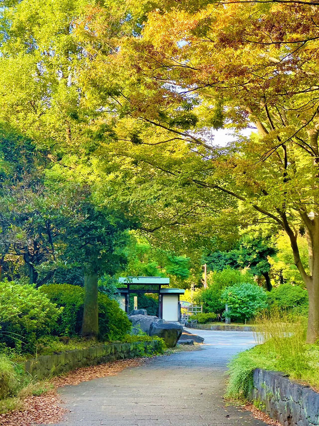 猿江恩賜公園：東京悠閒綠洲的現代樂章