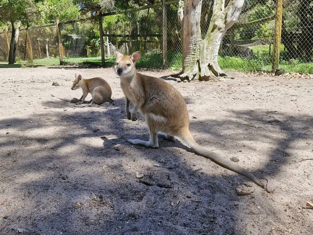 Caversham Wildlife Park