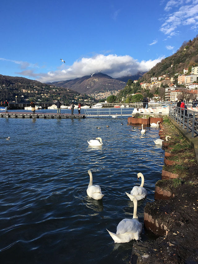 🇮🇹午後漫步科莫湖畔