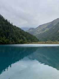 🏞️玩轉九寨溝&黃龍｜阿壩藏族羌族自治州