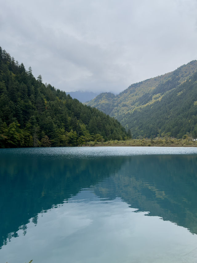🏞️玩轉九寨溝&黃龍｜阿壩藏族羌族自治州