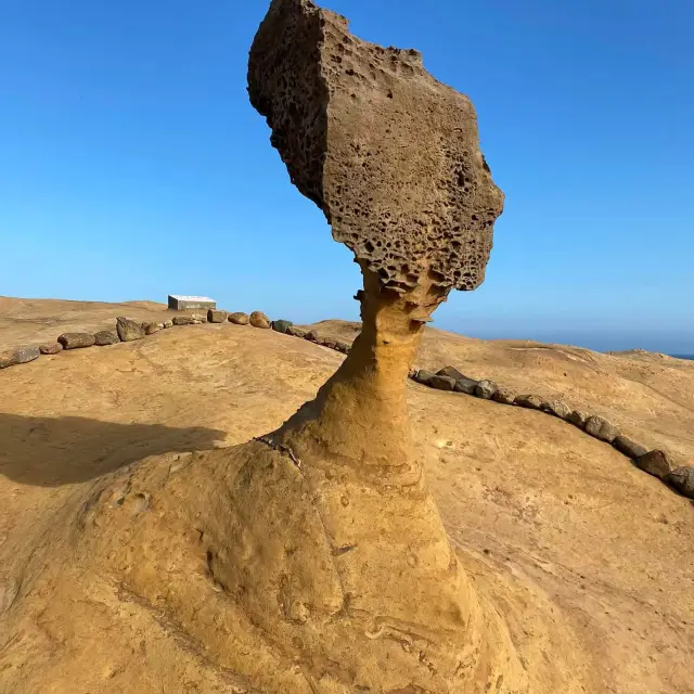 野柳女王頭 脖子越來越細了🥲⋯⋯奇形怪石的自然景觀必訪!