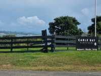 와이헤케 와이너리 투어 - Cable Bay vineyards🇳🇿