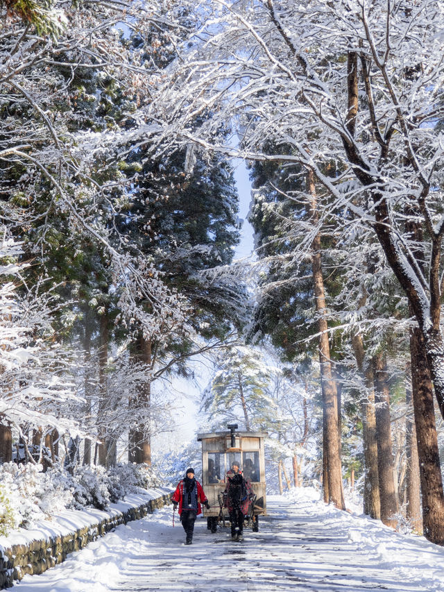 【大人気ホテルを完全攻略！✨】星野リゾート青森屋に行ったらやるべき3つをご紹介！☃️
