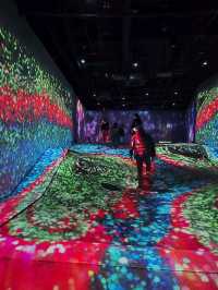 Teamlab Forest Fukuoka 🌳