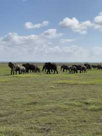 Safari trip at Amboseli National Park 🇰🇪