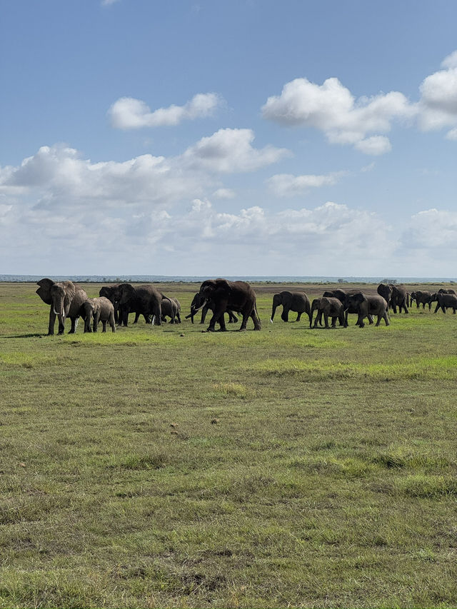 Safari trip at Amboseli National Park 🇰🇪