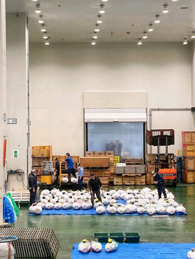 晨運式半日行程～豐洲市場