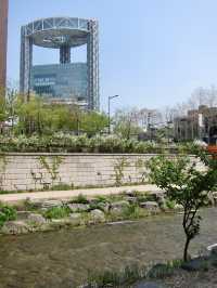 A Peaceful Stroll Through Seoul: Discovering Cheonggyecheon