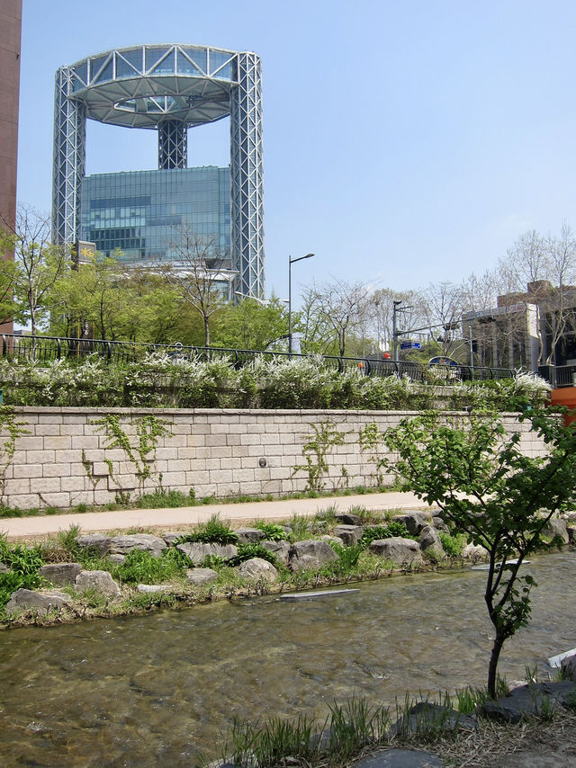 A Peaceful Stroll Through Seoul: Discovering Cheonggyecheon