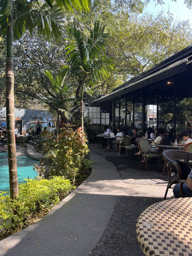 치앙마이 유명한 핫플 감성 카페 'No.39 Cafe'🇹🇭
