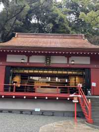探訪來宮神社大楠：靜岡熱海的千年神樹，祈願與能量的聖地