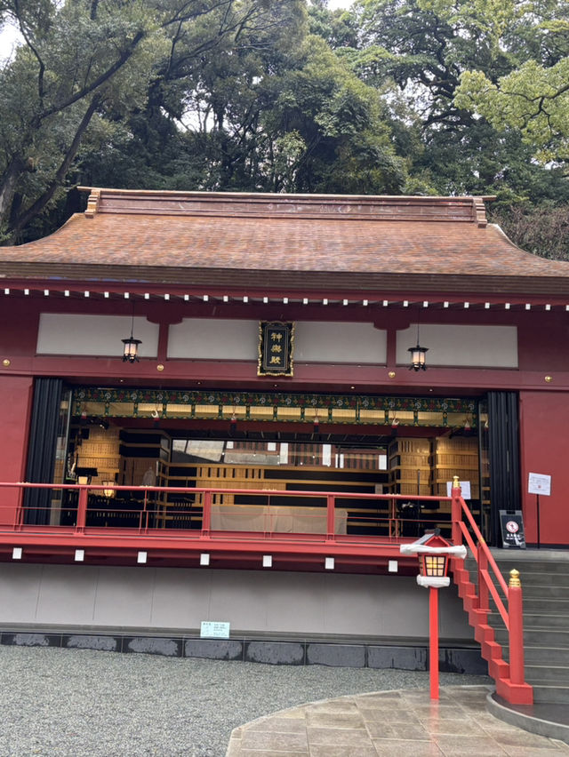 探訪來宮神社大楠：靜岡熱海的千年神樹，祈願與能量的聖地