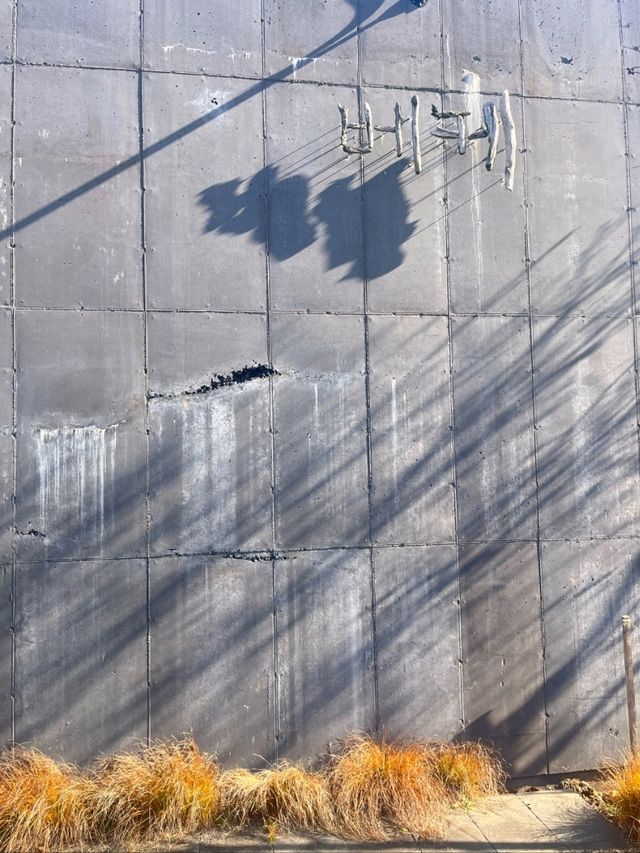 🦜제주 서귀포 카페 | 베케 정원카페🪶