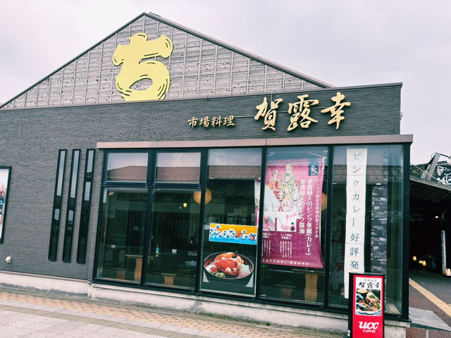 什麼？外國人限定的1000高速巴士去鳥取🫨🤩