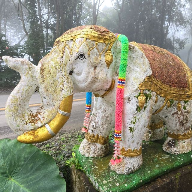 พระธาตุดอยช้างมูบ เชียงราย 🐘🏔