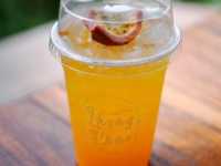 🌿 หลงเขา คาเฟ่สุดฮิตที่ไม่ควรพลาดเมื่อมาน่าน