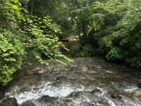 Dining Above the River: Café Serenity in Mount Kibune