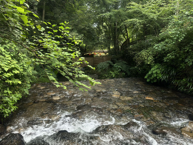Dining Above the River: Café Serenity in Mount Kibune
