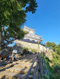 Gifu park