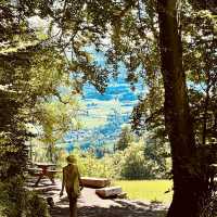 Celebrating A Summer Birthday in Zurich: Nature, Nostalgia, and New Adventures 🎂🌄