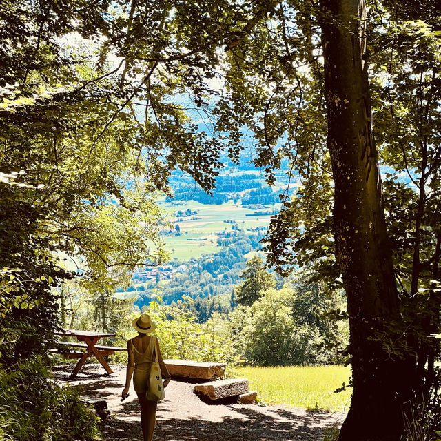 Celebrating A Summer Birthday in Zurich: Nature, Nostalgia, and New Adventures 🎂🌄