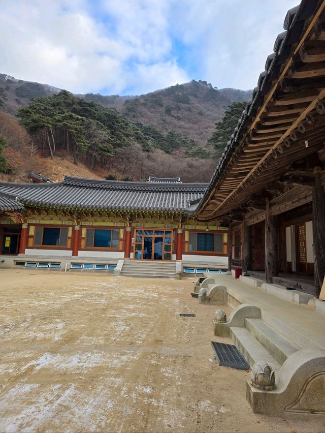 고즈넉한 사찰여행을 원하신다면 여기💙