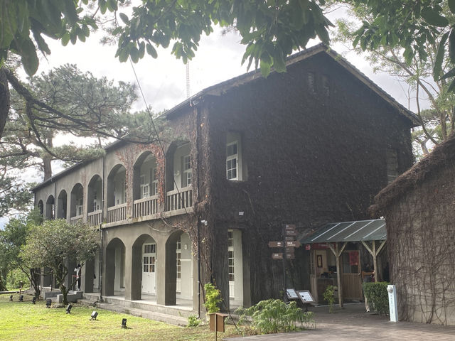 漫步 松園別館 松林綠影拂風吹