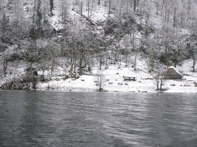 🇩🇪德國之最國王湖-kongssee🇩🇪
