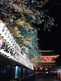 วัด Sensoji x ซากุระ ความคลาสสิกที่ต้องมาเห็น!!!