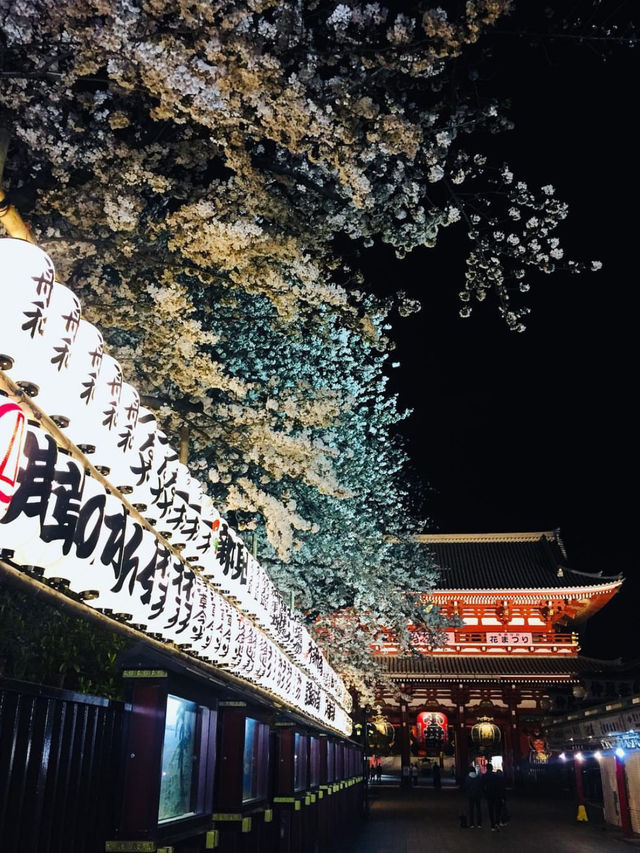 วัด Sensoji x ซากุระ ความคลาสสิกที่ต้องมาเห็น!!!