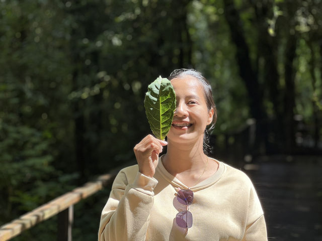 🌿 อ่างกา จ.เชียงใหม่ 🌿