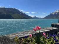 Lake Brienz Boat Cruise