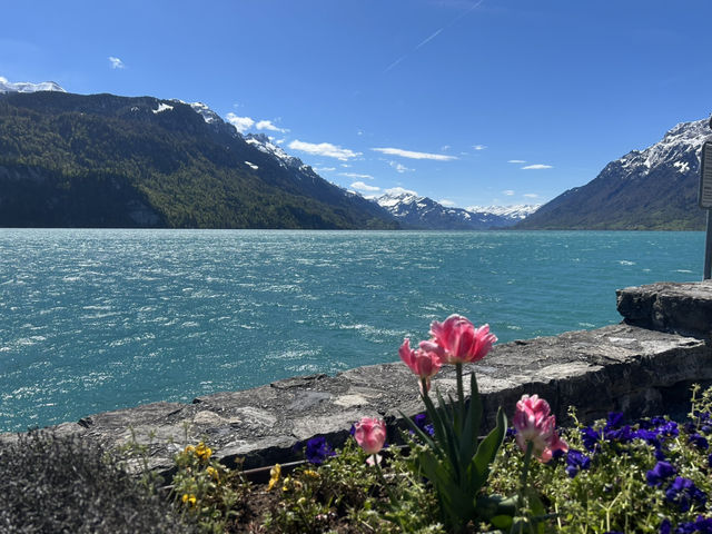 Lake Brienz Boat Cruise