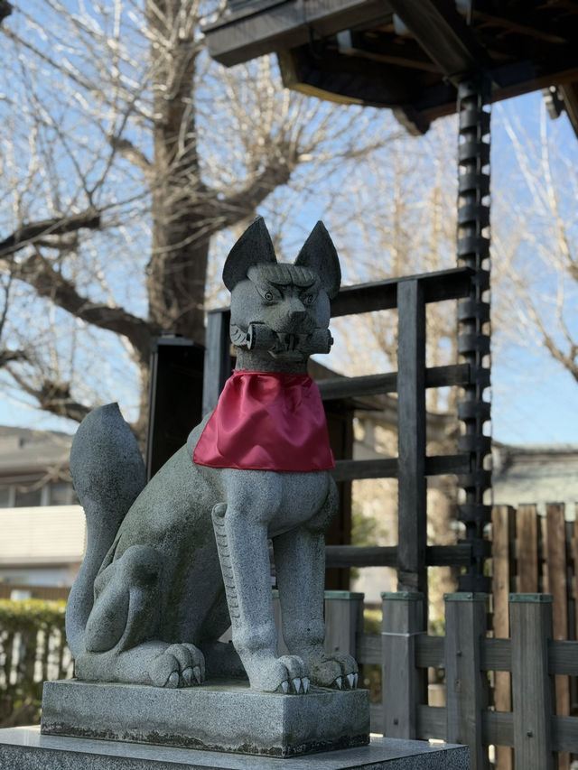 Tobikiinari Shrine: A Hidden Gem in Tokyo⛩️