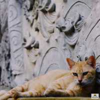 วัดเขาชวัง