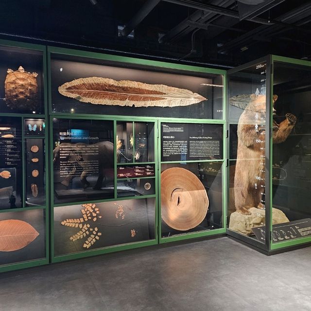 【台北】定期推出不同主題的科學特展，每次展覽都極具教育與娛樂性。