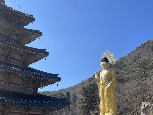 충북 보은에서 만난 유네스코 유산 법주사
