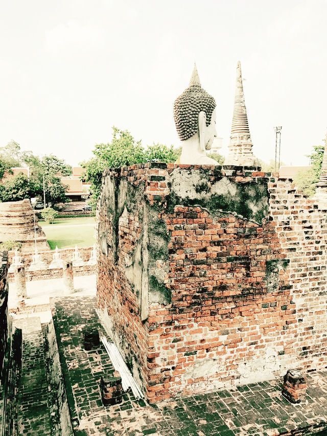 Serenity Amidst Ancient Grandeur – Wat Yai Chai Mongkhon