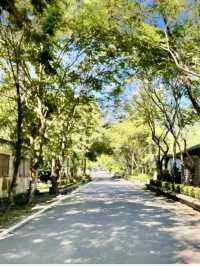 暢遊森林鐵道～林田山林業文化園區