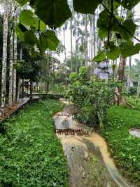  พักกายพักใจ ท่ามกลางธรรมชาติบ้านไร่ไออรุน ระนอง