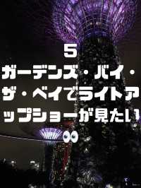 シンガポールでしたいこと🇸🇬