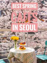 Best Spring Cafés in Seoul🌸 ☕️