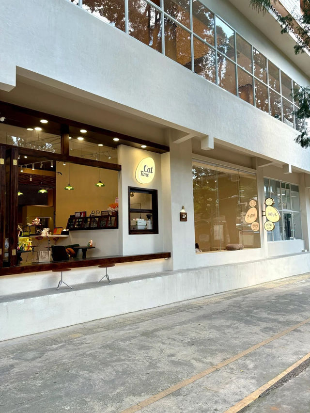 📍昆明探店｜百里春秋文化空間（文廟） 