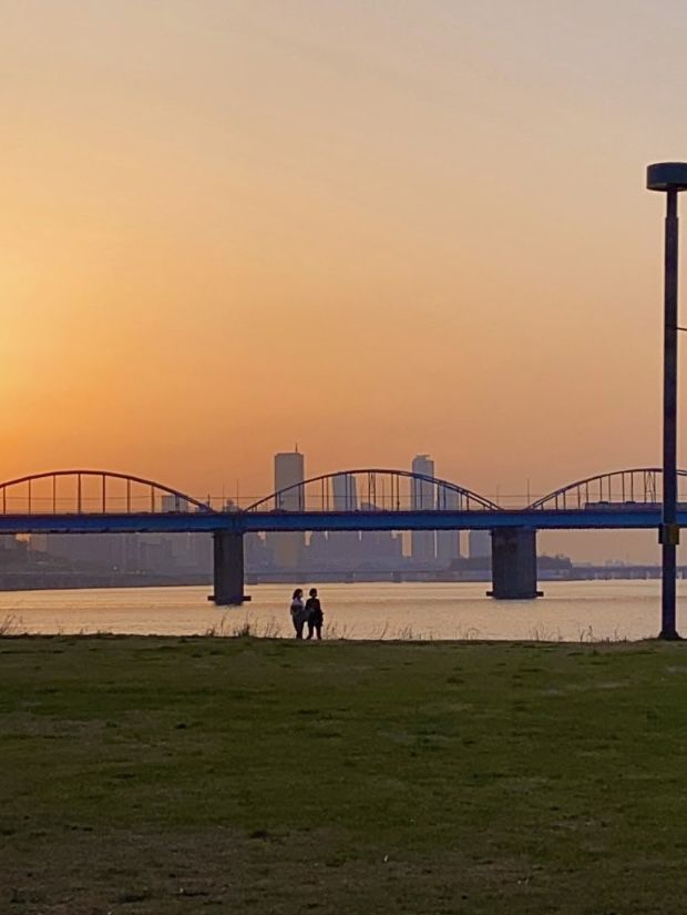 Spring Outing in Seoul: Picnics, Cafés & Blooms! 