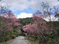 Ogimi Village Riverside Park